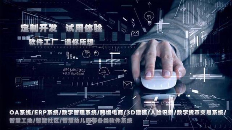 软件开发行业在重庆的蓬勃发展